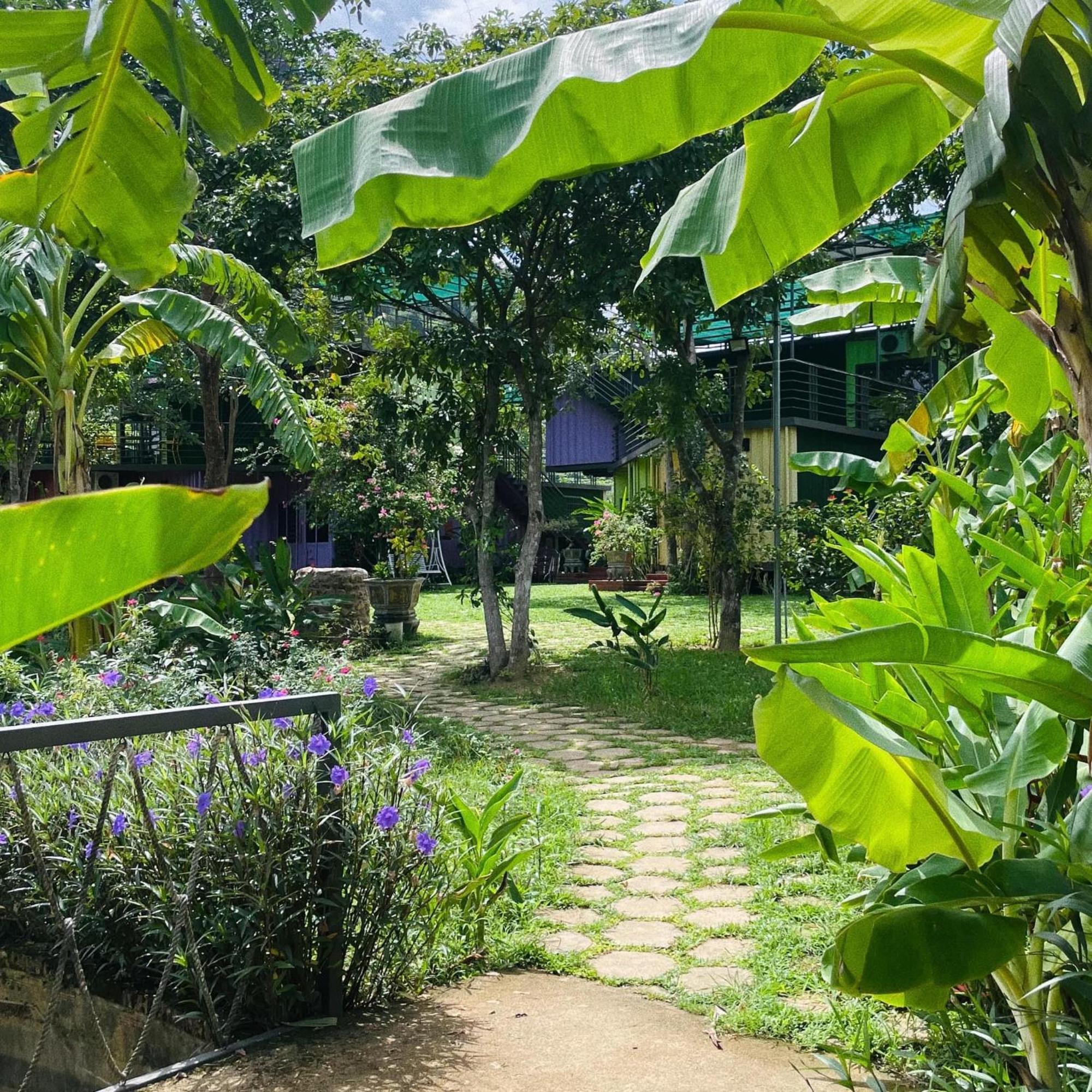Phong Nha Eco Village מראה חיצוני תמונה
