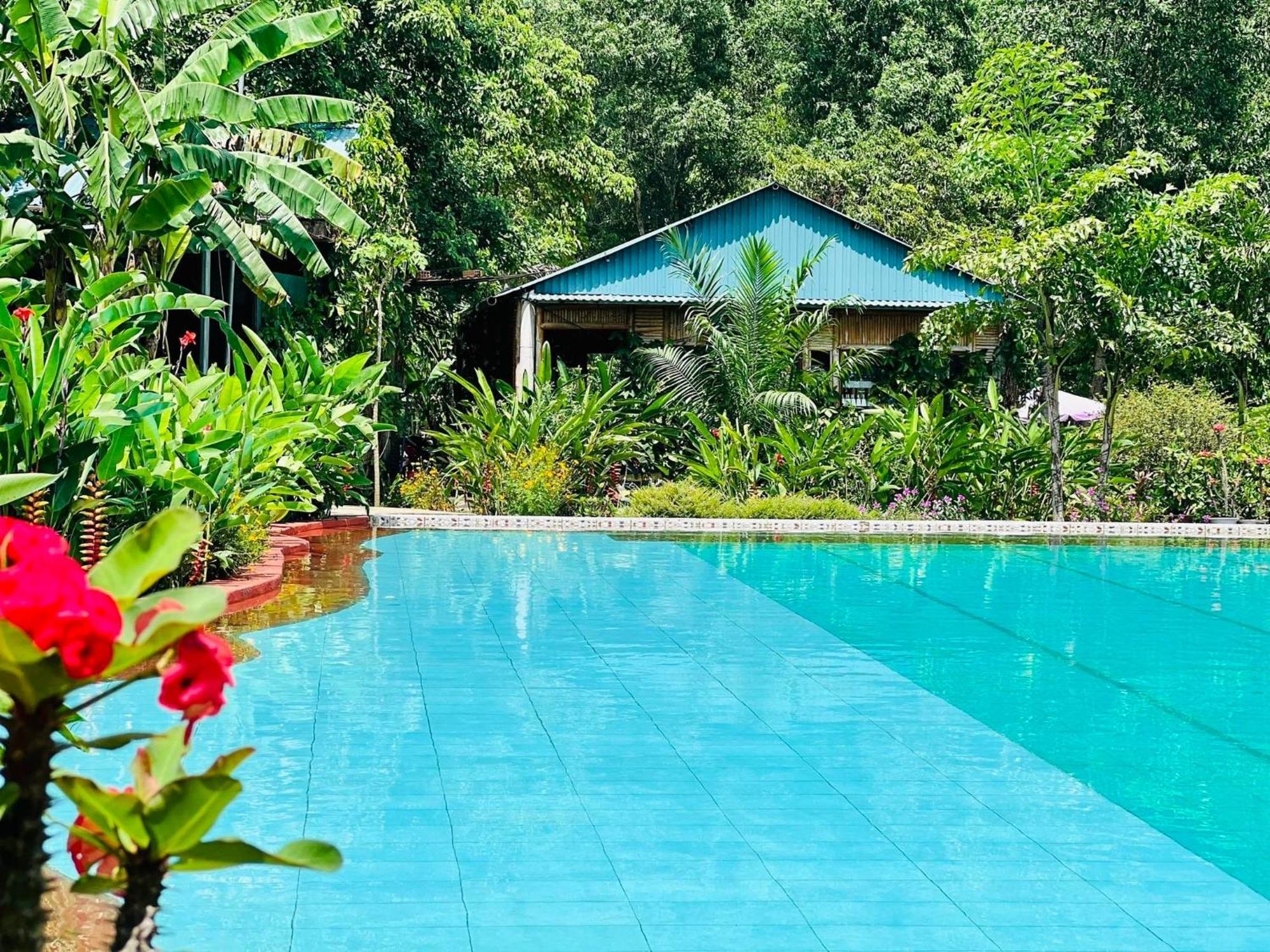 Phong Nha Eco Village מראה חיצוני תמונה