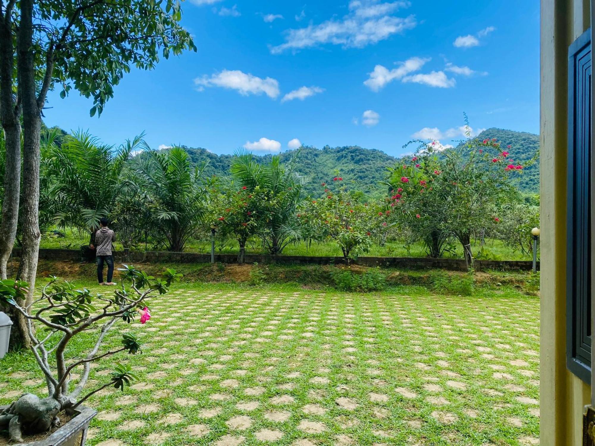 Phong Nha Eco Village מראה חיצוני תמונה
