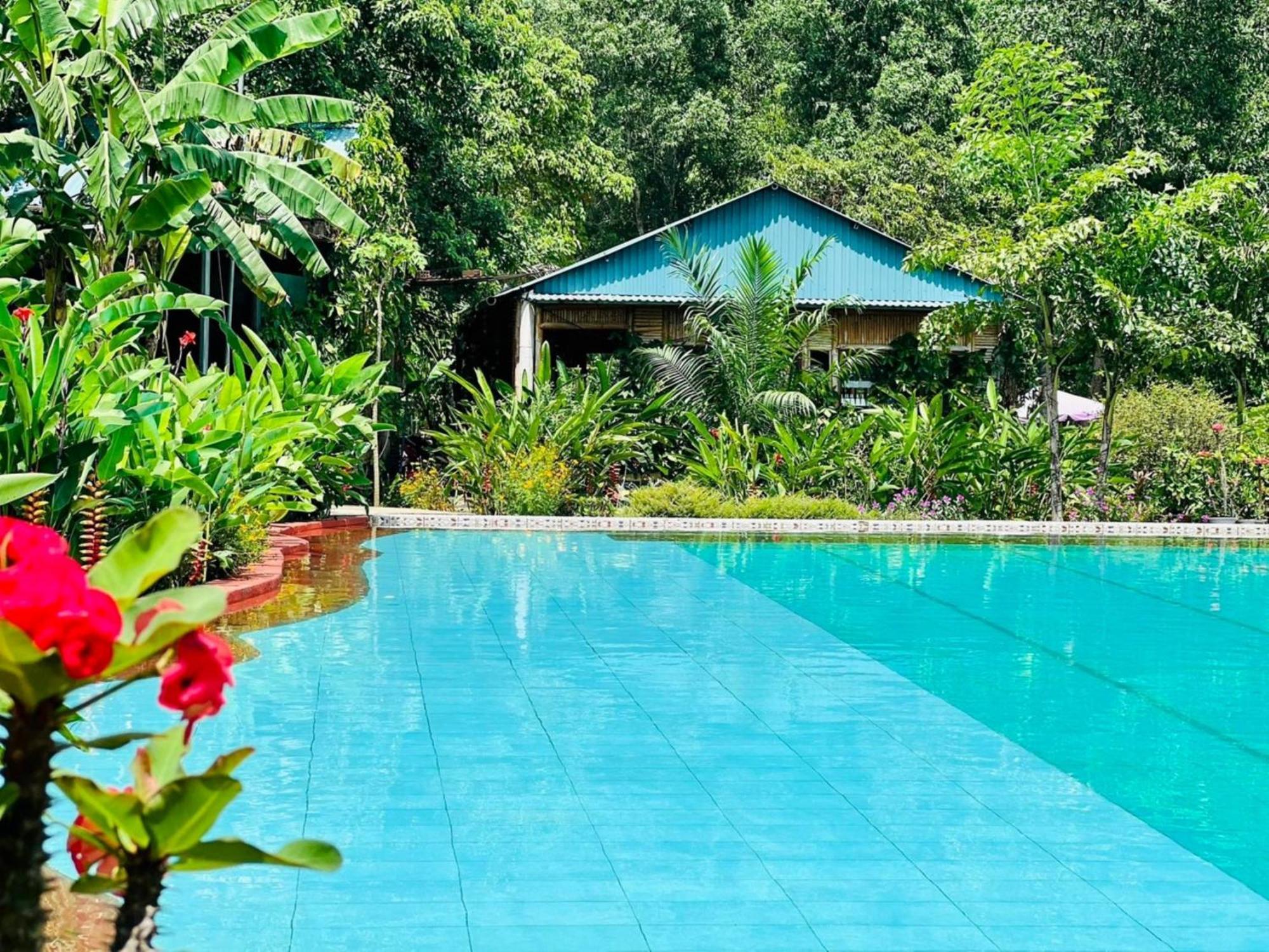 Phong Nha Eco Village מראה חיצוני תמונה