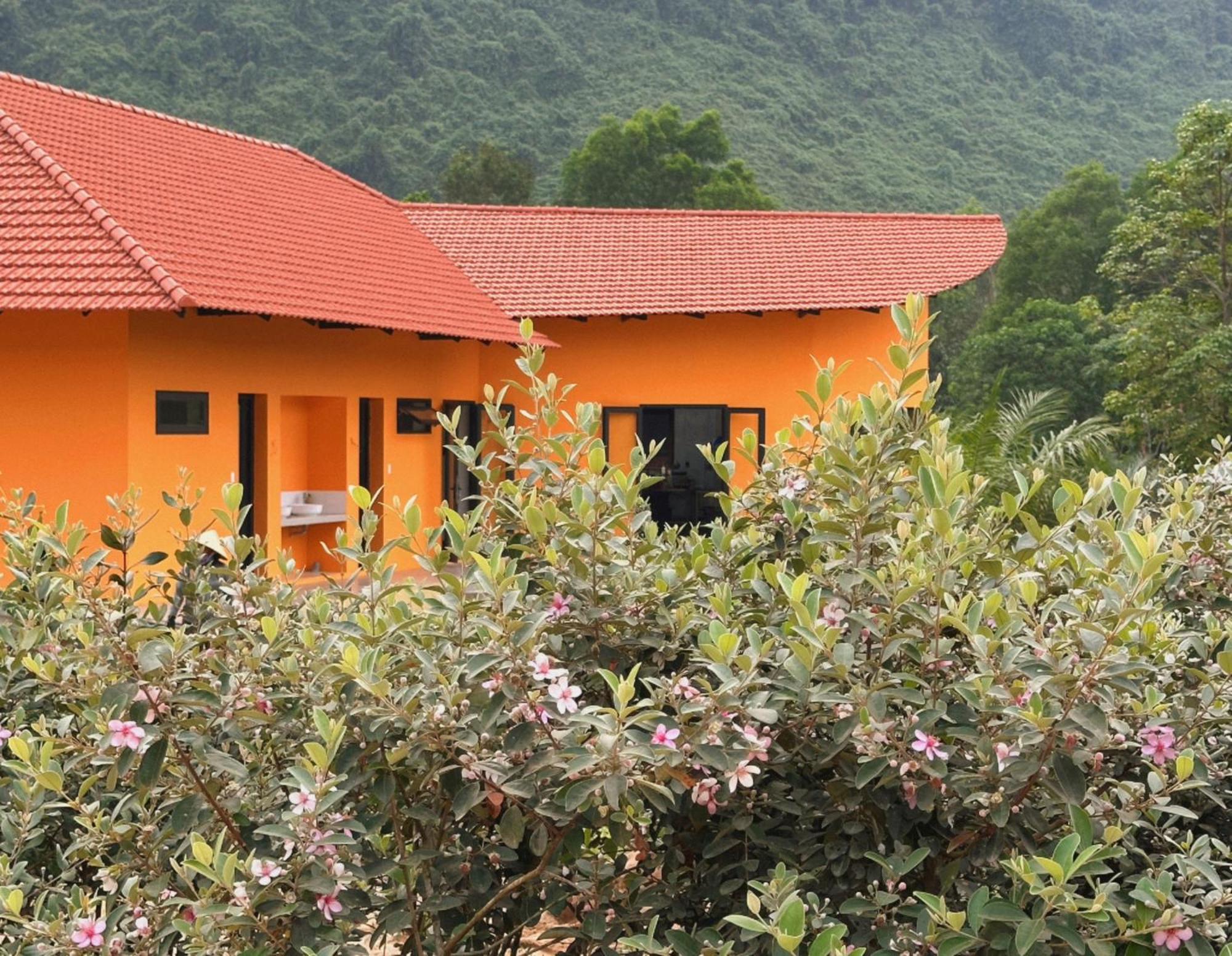 Phong Nha Eco Village מראה חיצוני תמונה