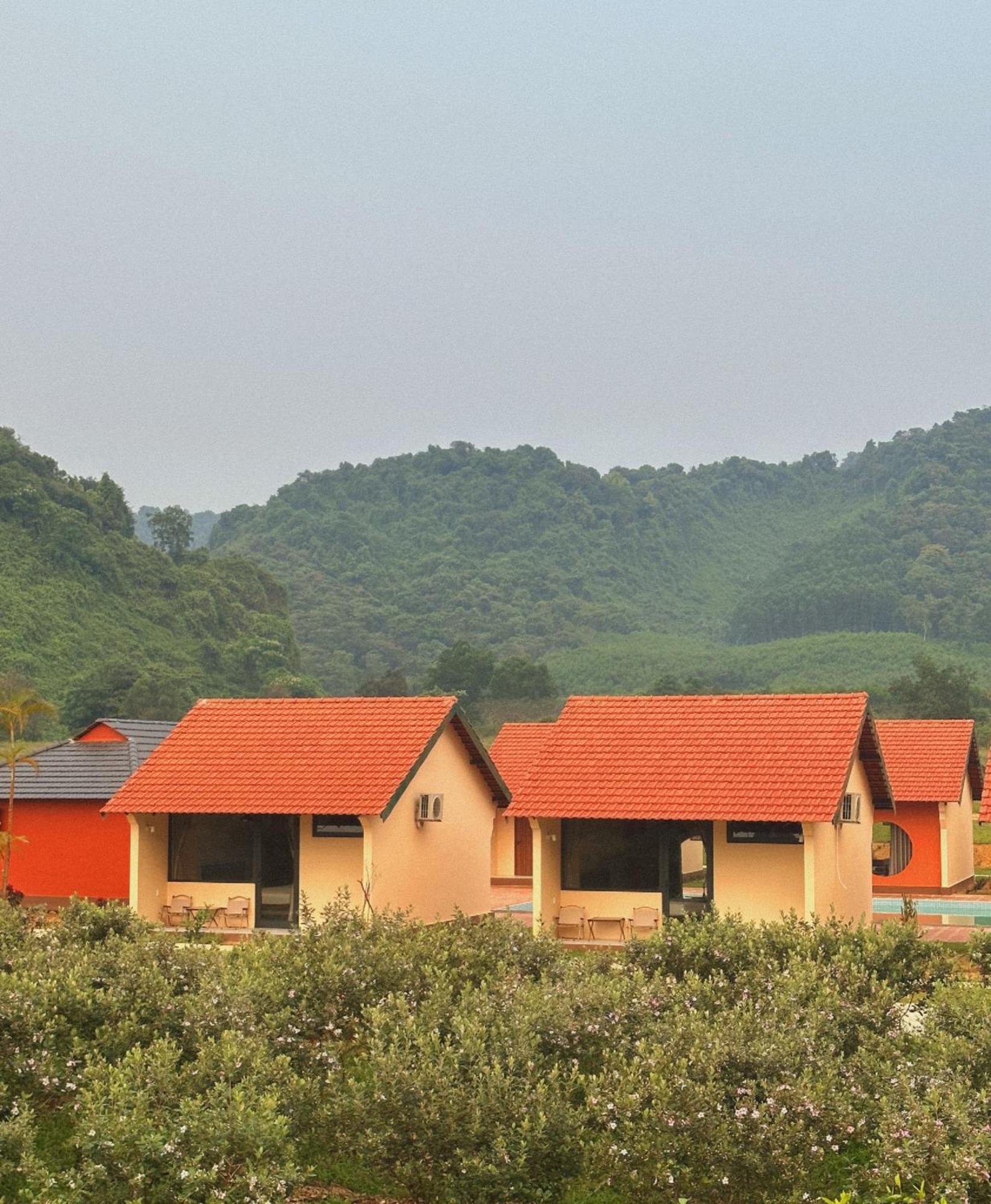 Phong Nha Eco Village מראה חיצוני תמונה