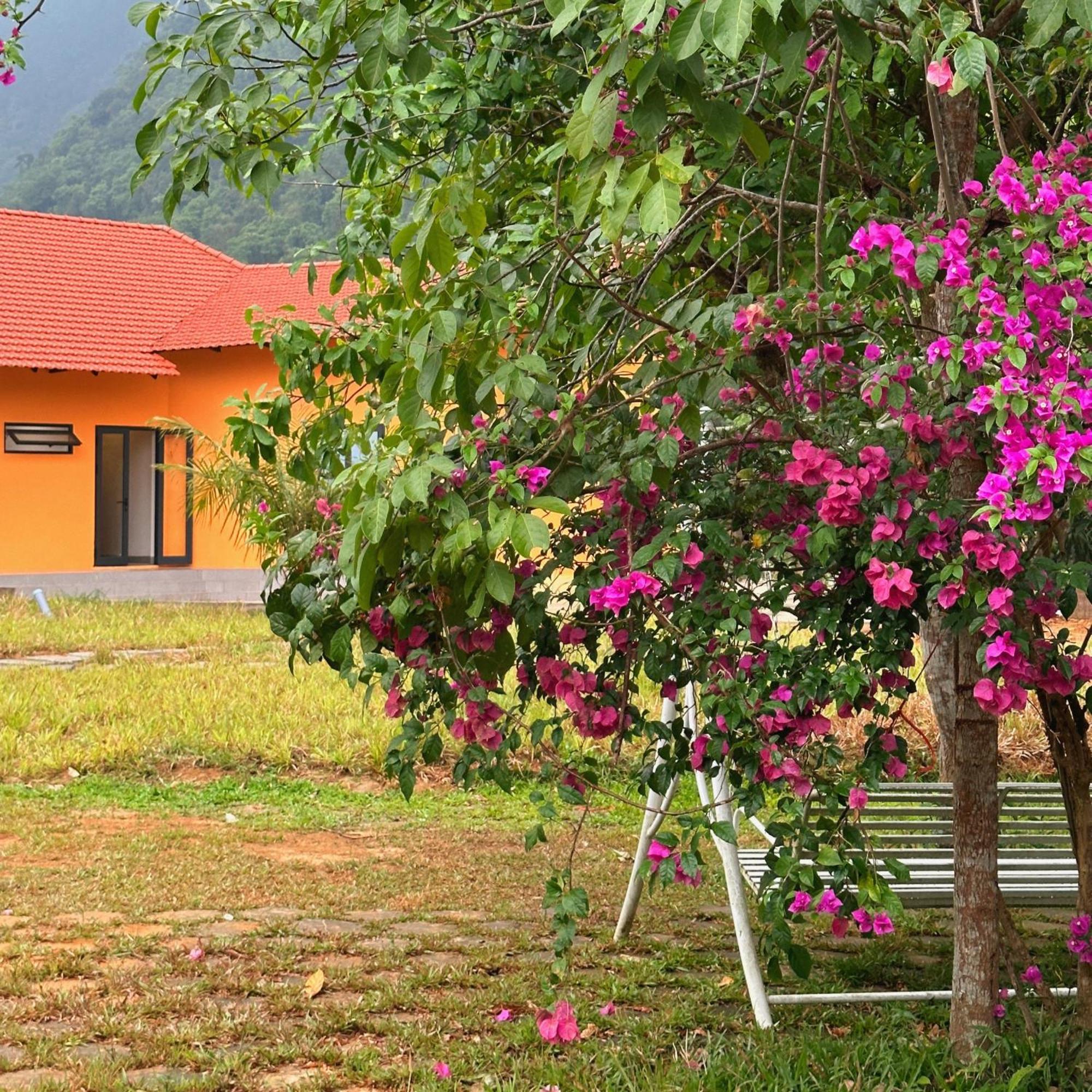 Phong Nha Eco Village מראה חיצוני תמונה